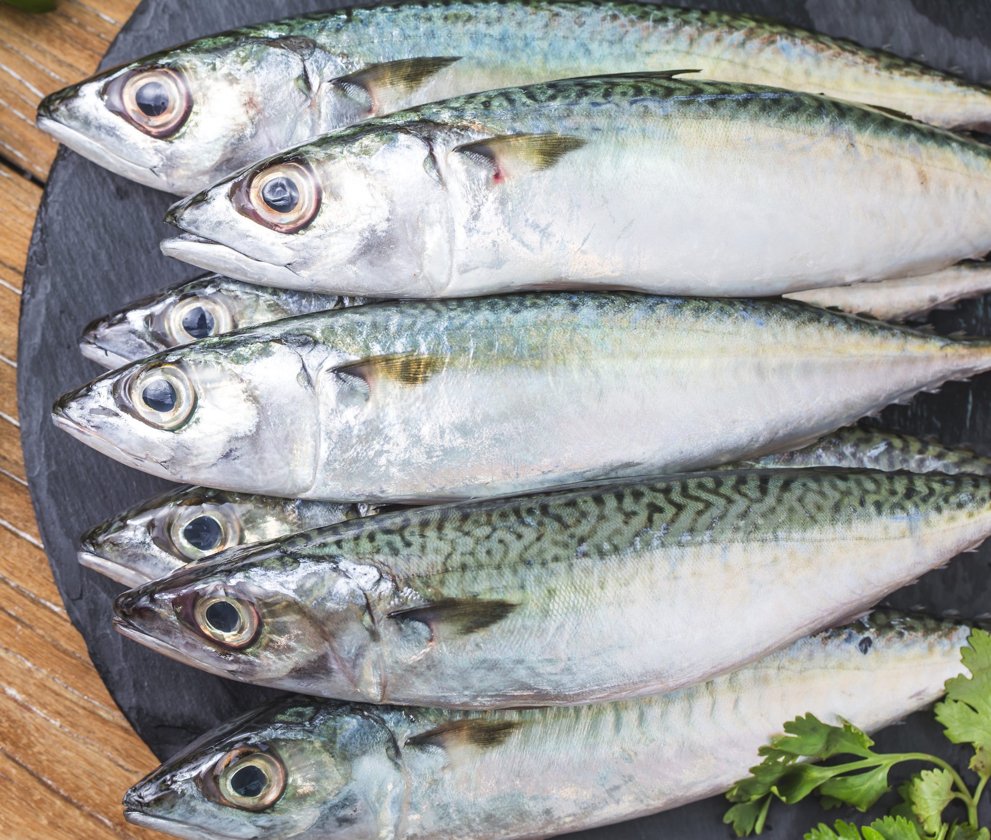 raw mackerel with and spices